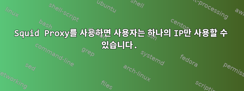 Squid Proxy를 사용하면 사용자는 하나의 IP만 사용할 수 있습니다.