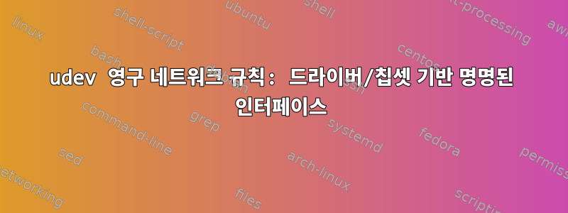 udev 영구 네트워크 규칙: 드라이버/칩셋 기반 명명된 인터페이스