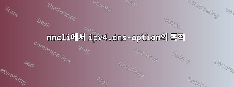 nmcli에서 ipv4.dns-option의 목적