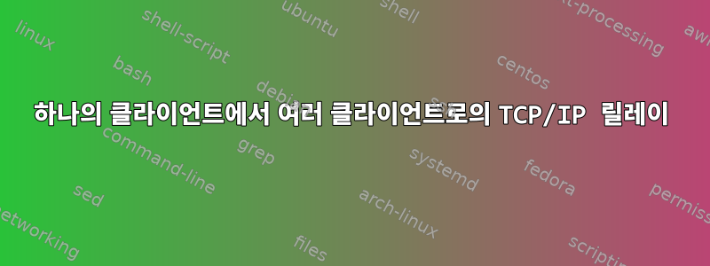 하나의 클라이언트에서 여러 클라이언트로의 TCP/IP 릴레이