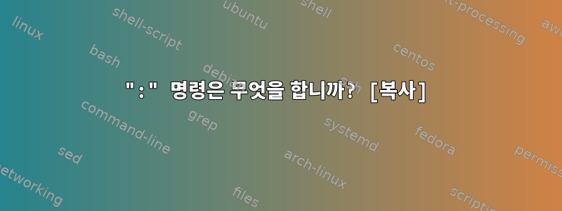 ":" 명령은 무엇을 합니까? [복사]