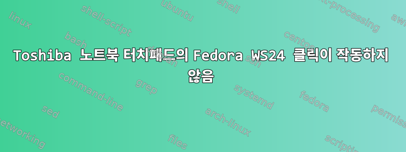 Toshiba 노트북 터치패드의 Fedora WS24 클릭이 작동하지 않음