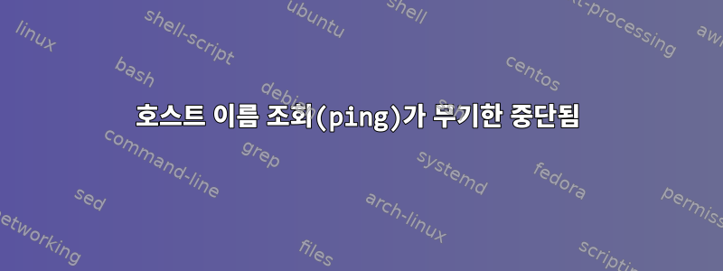 호스트 이름 조회(ping)가 무기한 중단됨