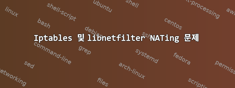 Iptables 및 libnetfilter NATing 문제