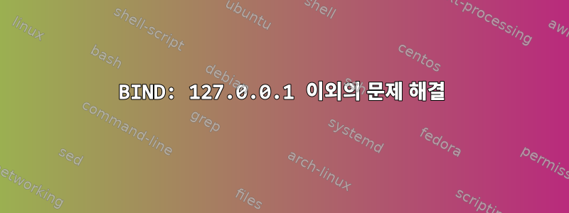 BIND: 127.0.0.1 이외의 문제 해결