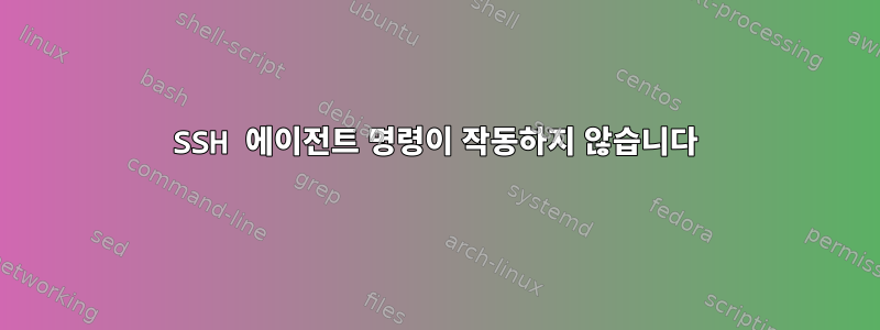 SSH 에이전트 명령이 작동하지 않습니다