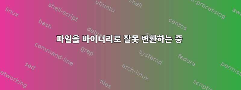 파일을 바이너리로 잘못 변환하는 중