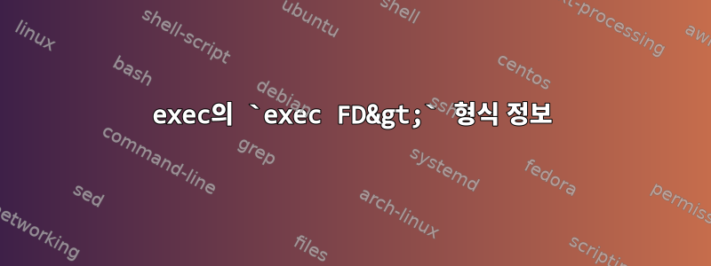 exec의 `exec FD&gt;` 형식 정보