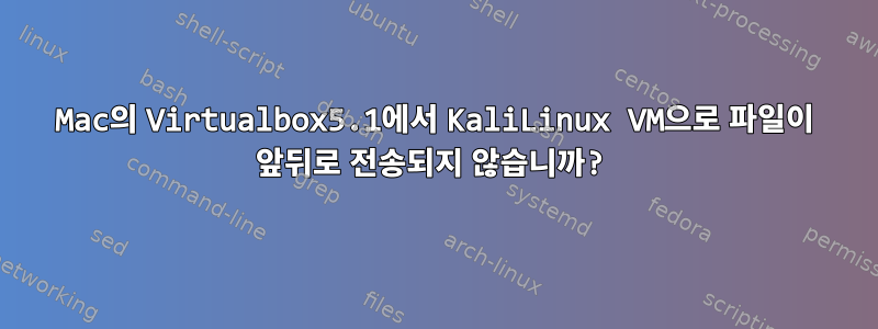 Mac의 Virtualbox5.1에서 KaliLinux VM으로 파일이 앞뒤로 전송되지 않습니까?