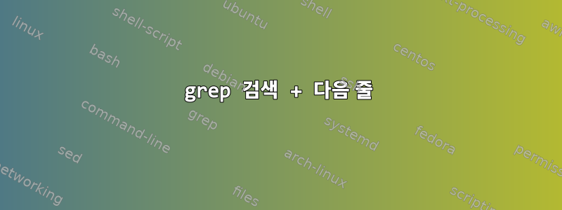 grep 검색 + 다음 줄