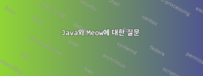 Java와 Meow에 대한 질문