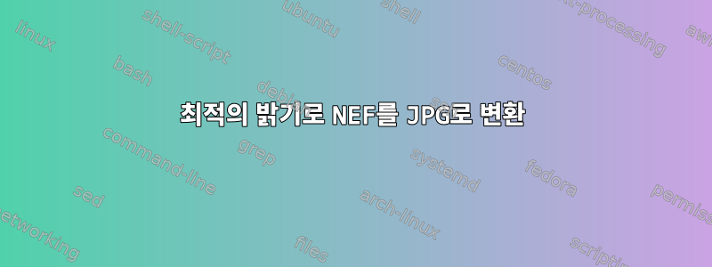 최적의 밝기로 NEF를 JPG로 변환