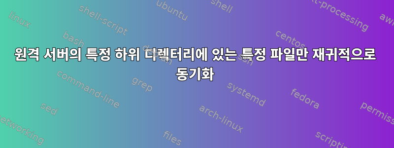 원격 서버의 특정 하위 디렉터리에 있는 특정 파일만 재귀적으로 동기화