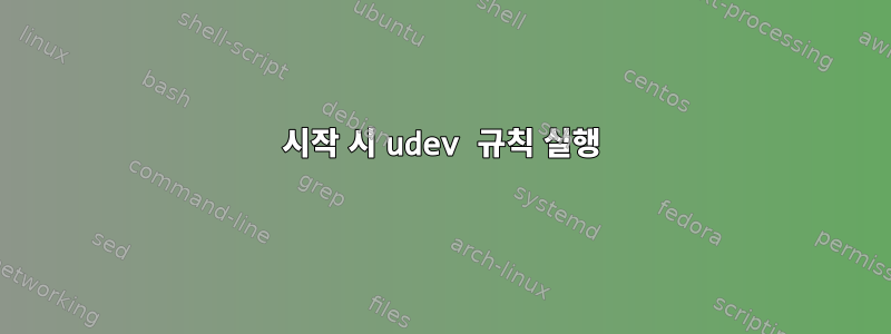 시작 시 udev 규칙 실행