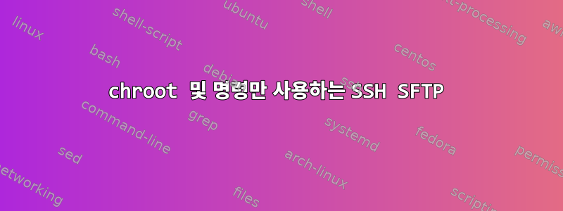 chroot 및 명령만 사용하는 SSH SFTP