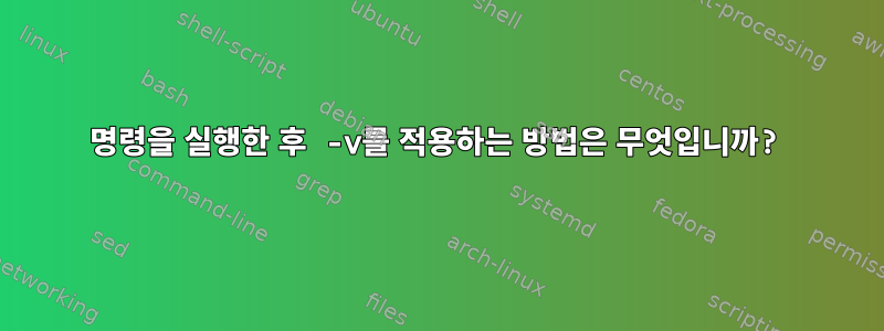 명령을 실행한 후 -v를 적용하는 방법은 무엇입니까?