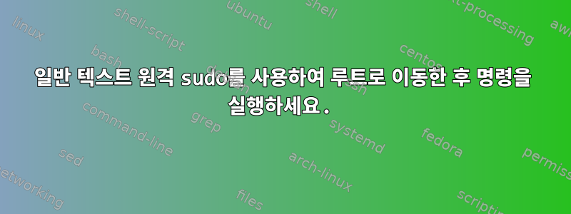 일반 텍스트 원격 sudo를 사용하여 루트로 이동한 후 명령을 실행하세요.