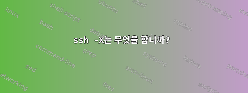 ssh -X는 무엇을 합니까?