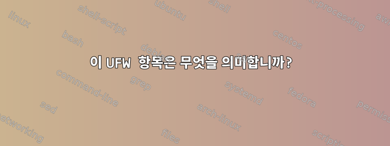 이 UFW 항목은 무엇을 의미합니까?