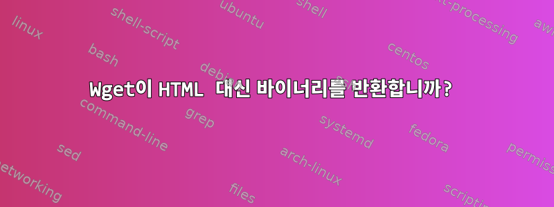 Wget이 HTML 대신 바이너리를 반환합니까?