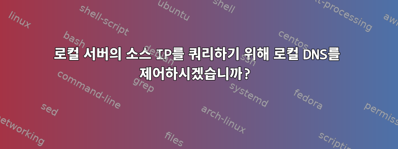 로컬 서버의 소스 IP를 쿼리하기 위해 로컬 DNS를 제어하시겠습니까?