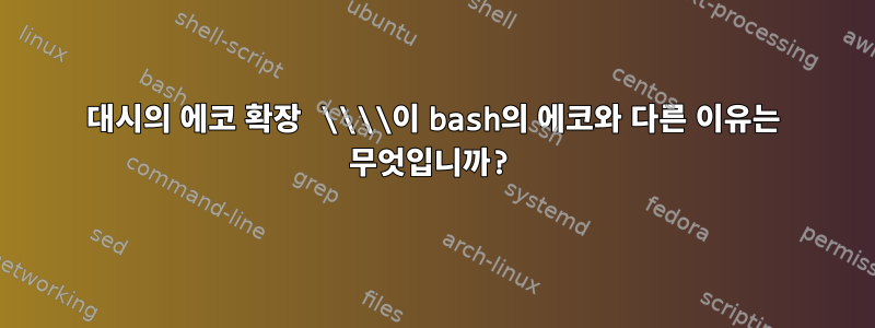 대시의 에코 확장 \\\\이 bash의 에코와 다른 이유는 무엇입니까?