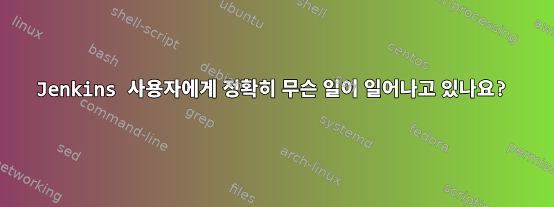 Jenkins 사용자에게 정확히 무슨 일이 일어나고 있나요?