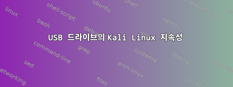 USB 드라이브의 Kali Linux 지속성