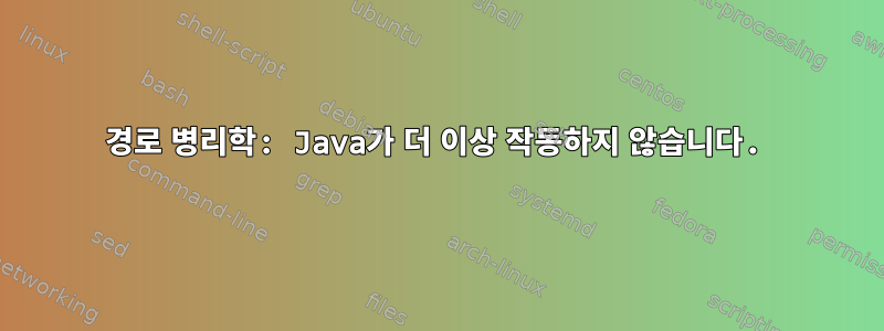 경로 병리학: Java가 더 이상 작동하지 않습니다.