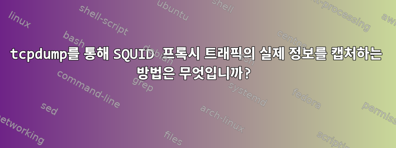 tcpdump를 통해 SQUID 프록시 트래픽의 실제 정보를 캡처하는 방법은 무엇입니까?