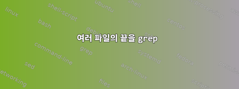 여러 파일의 끝을 grep