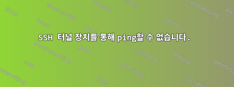 SSH 터널 장치를 통해 ping할 수 없습니다.