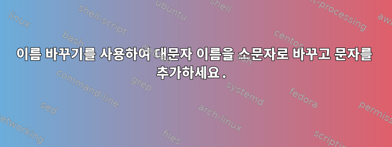 이름 바꾸기를 사용하여 대문자 이름을 소문자로 바꾸고 문자를 추가하세요.