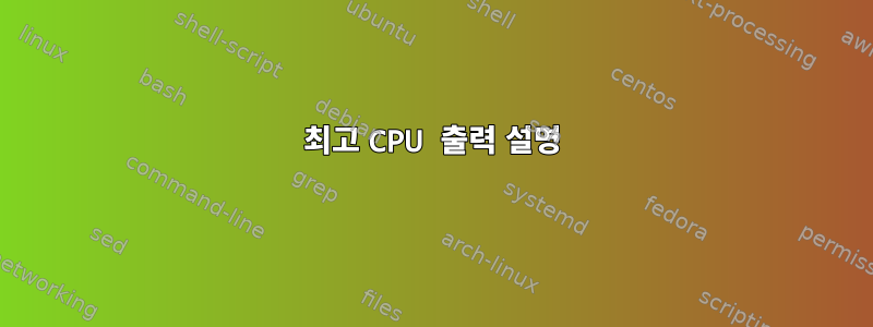 최고 CPU 출력 설명