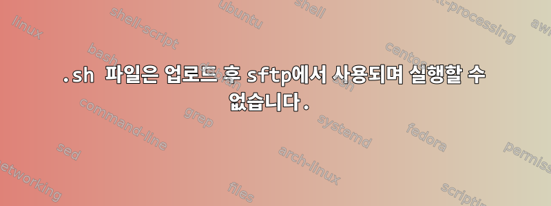 .sh 파일은 업로드 후 sftp에서 사용되며 실행할 수 없습니다.