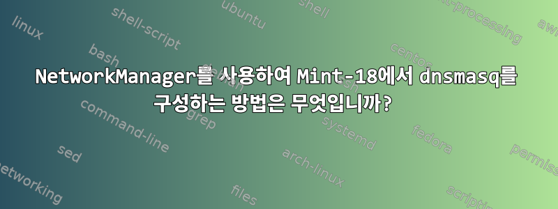 NetworkManager를 사용하여 Mint-18에서 dnsmasq를 구성하는 방법은 무엇입니까?