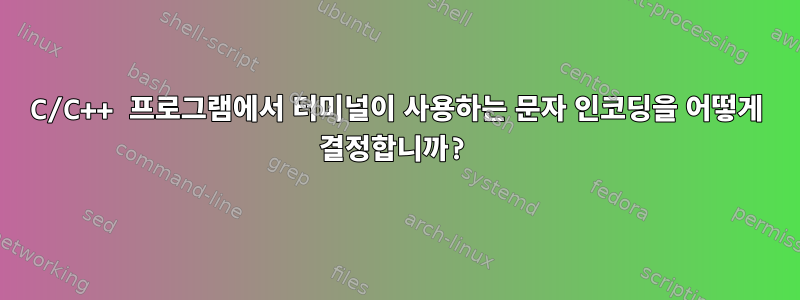 C/C++ 프로그램에서 터미널이 사용하는 문자 인코딩을 어떻게 결정합니까?