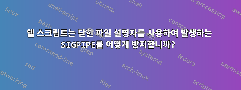 쉘 스크립트는 닫힌 파일 설명자를 사용하여 발생하는 SIGPIPE를 어떻게 방지합니까?