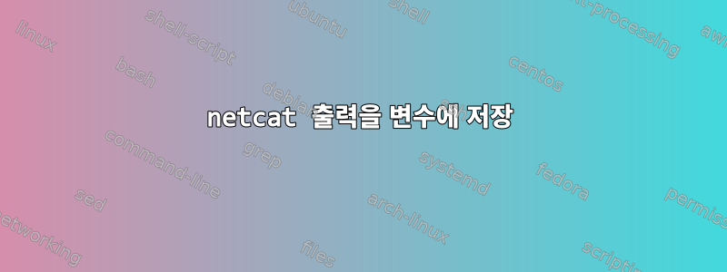 netcat 출력을 변수에 저장