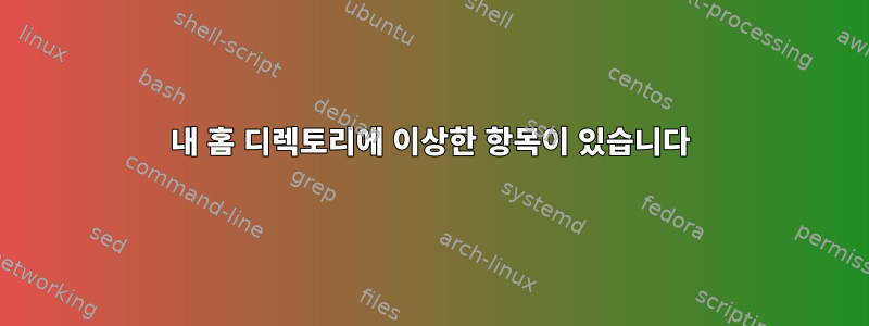 내 홈 디렉토리에 이상한 항목이 있습니다