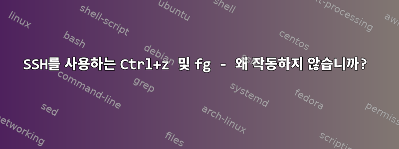 SSH를 사용하는 Ctrl+z 및 fg - 왜 작동하지 않습니까?