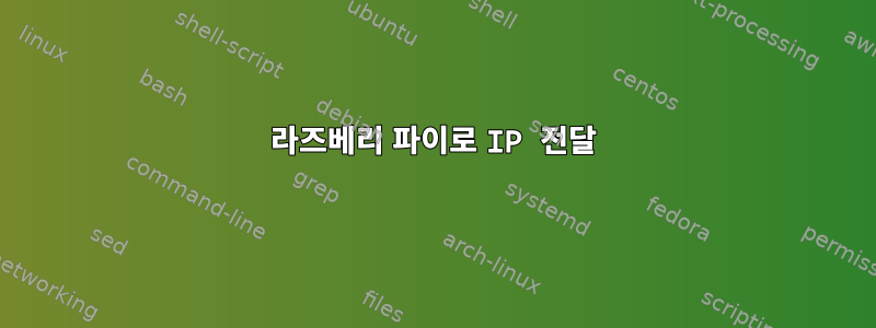 라즈베리 파이로 IP 전달