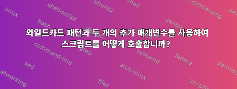 와일드카드 패턴과 두 개의 추가 매개변수를 사용하여 스크립트를 어떻게 호출합니까?