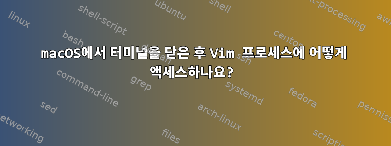 macOS에서 터미널을 닫은 후 Vim 프로세스에 어떻게 액세스하나요?