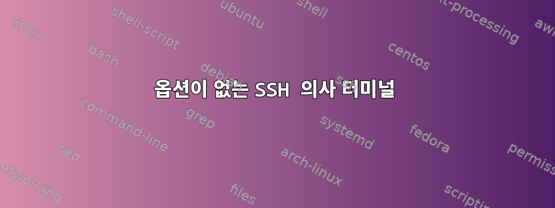 옵션이 없는 SSH 의사 터미널