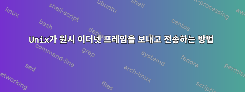 Unix가 원시 이더넷 프레임을 보내고 전송하는 방법