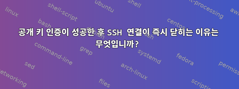 공개 키 인증이 성공한 후 SSH 연결이 즉시 닫히는 이유는 무엇입니까?