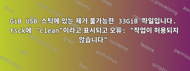 4GiB USB 스틱에 있는 제거 불가능한 33GiB 파일입니다. fsck에 "clean"이라고 표시되고 오류: "작업이 허용되지 않습니다"