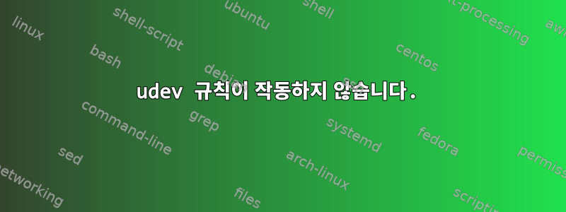 udev 규칙이 작동하지 않습니다.