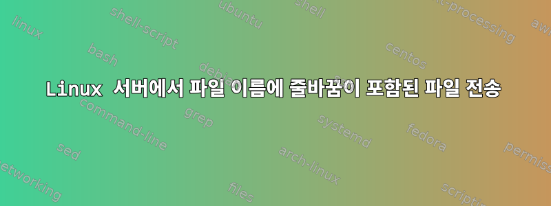 Linux 서버에서 파일 이름에 줄바꿈이 포함된 파일 전송